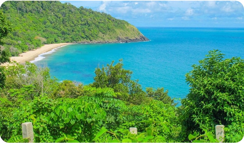 Lush greenery and turquoise waters in Mu Ko Lanta National Park, a popular tourist destination in Thailand.