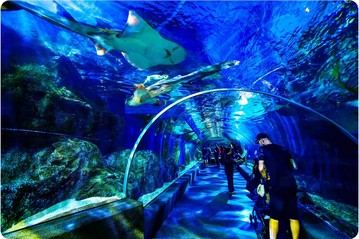 Underwater tunnel walkway at SEA LIFE Ocean World Bangkok featuring aquatic life among popular places to visit in Thailand