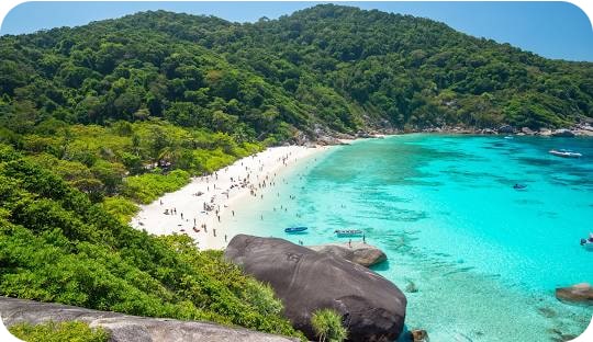 Crystal clear waters and lush greenery at the Similan Islands, a popular tourist destination in Thailand.